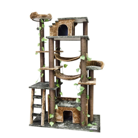 Amazon Green